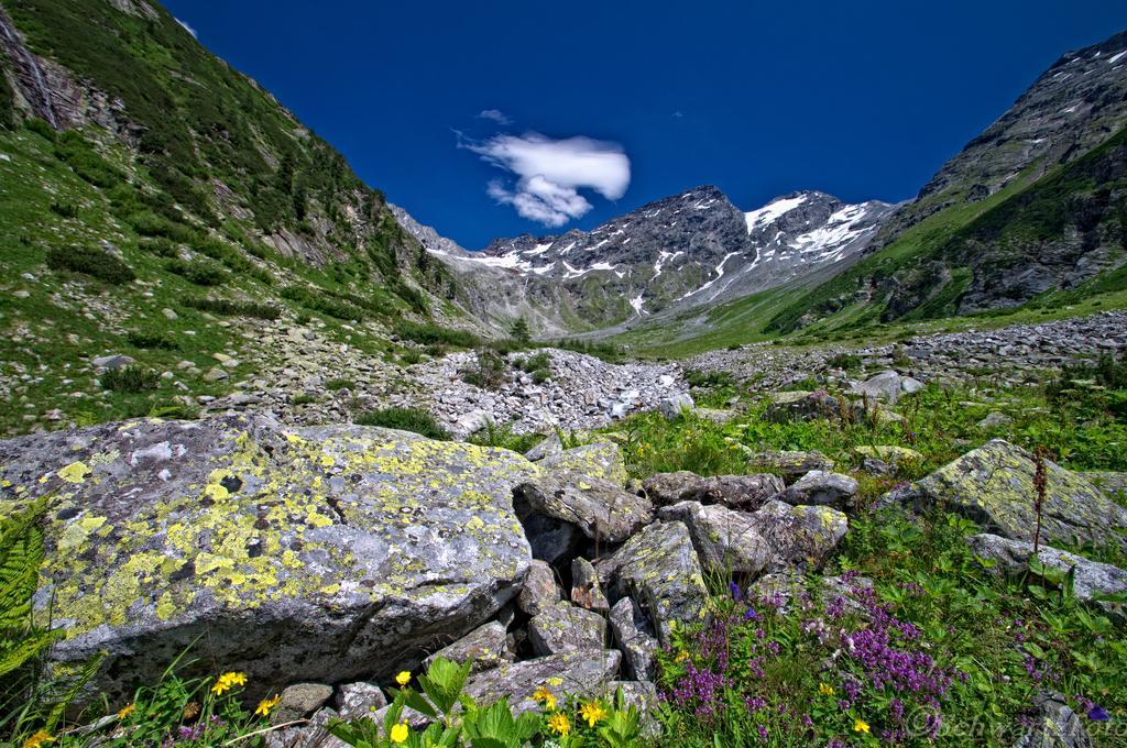 Landhaus Johanna Dorfgastein Bagian luar foto